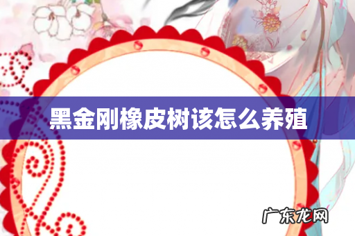 黑金刚橡皮树该怎么养殖