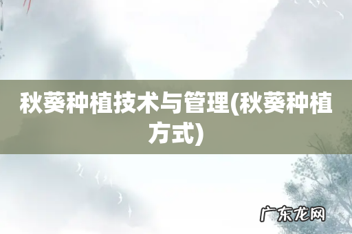 秋葵种植方式 秋葵种植技术与管理