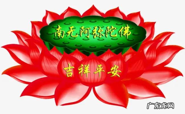 莲花的风水作用 风水水莲花