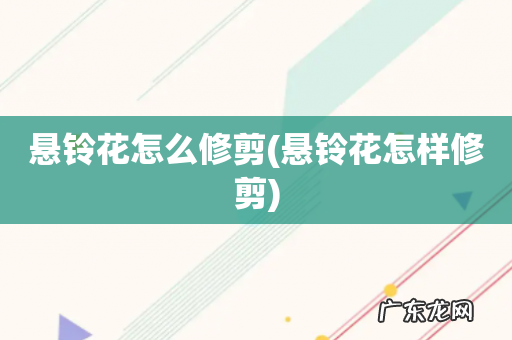 悬铃花怎样修剪 悬铃花怎么修剪