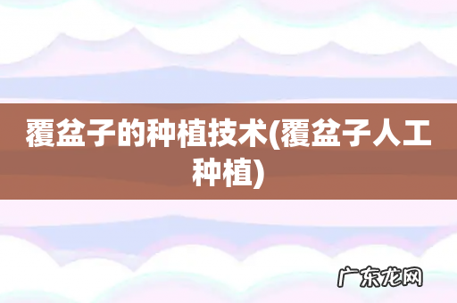 覆盆子人工种植 覆盆子的种植技术