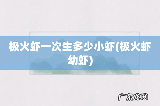 极火虾幼虾 极火虾一次生多少小虾