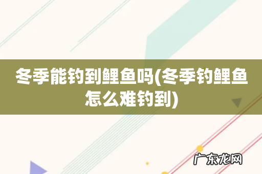冬季钓鲤鱼怎么难钓到 冬季能钓到鲤鱼吗