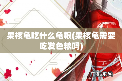 果核龟需要吃发色粮吗 果核龟吃什么龟粮