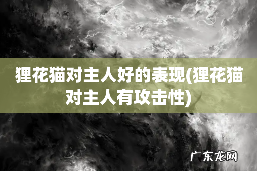 狸花猫对主人有攻击性 狸花猫对主人好的表现