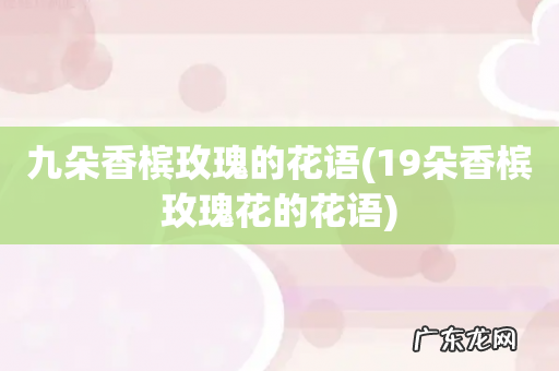 19朵香槟玫瑰花的花语 九朵香槟玫瑰的花语