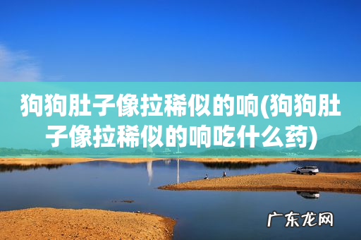 狗狗肚子像拉稀似的响吃什么药 狗狗肚子像拉稀似的响