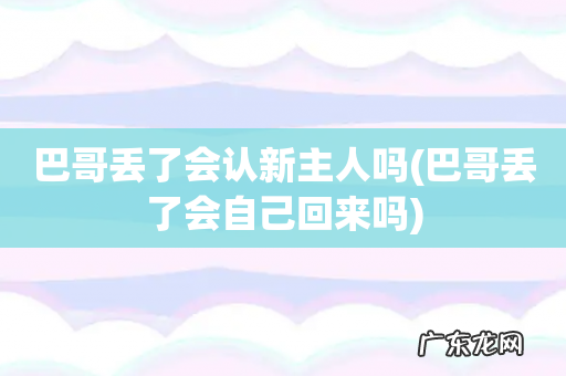 巴哥丢了会自己回来吗 巴哥丢了会认新主人吗