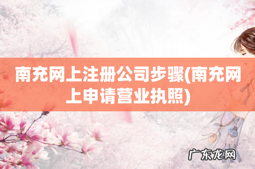 南充网上申请营业执照 南充网上注册公司步骤