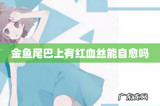 金鱼尾巴上有红血丝能自愈吗
