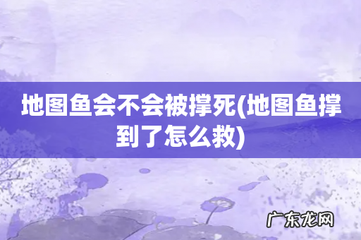 地图鱼撑到了怎么救 地图鱼会不会被撑死