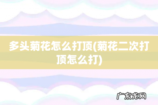 菊花二次打顶怎么打 多头菊花怎么打顶