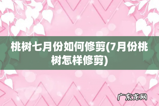 7月份桃树怎样修剪 桃树七月份如何修剪