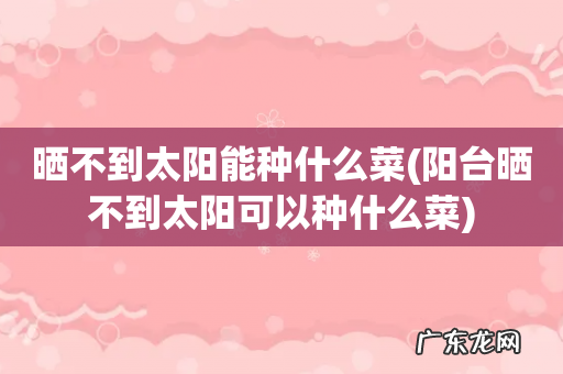 阳台晒不到太阳可以种什么菜 晒不到太阳能种什么菜