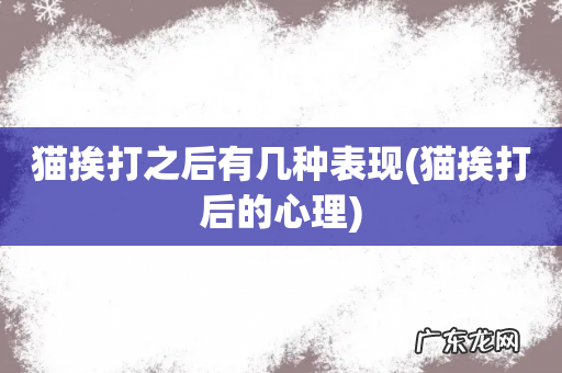 猫挨打后的心理 猫挨打之后有几种表现