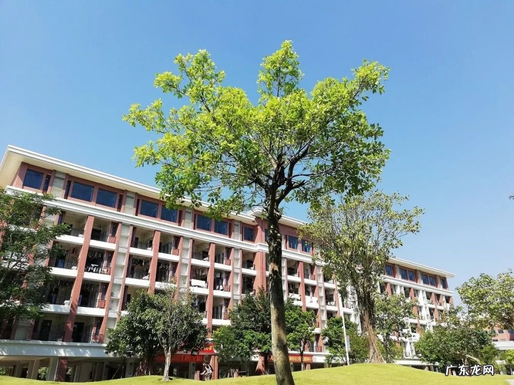 宿舍的风水 四人间宿舍风水