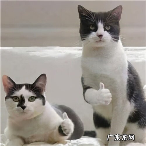 宿舍的风水 四人间宿舍风水