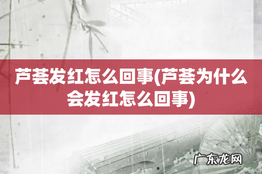 芦荟为什么会发红怎么回事 芦荟发红怎么回事