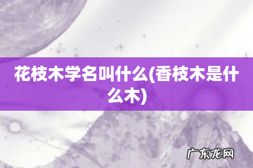 香枝木是什么木 花枝木学名叫什么