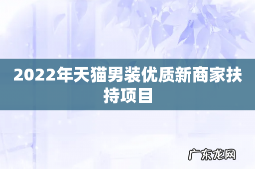 2022年天猫男装优质新商家扶持项目