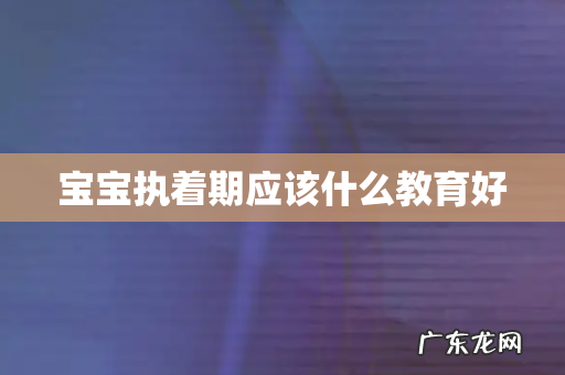 宝宝执着期应该什么教育好