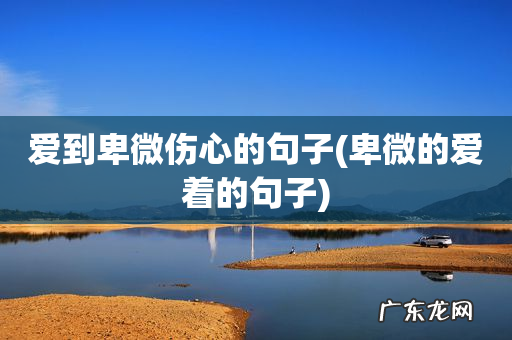 卑微的爱着的句子 爱到卑微伤心的句子