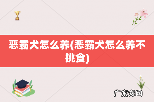 恶霸犬怎么养不挑食 恶霸犬怎么养