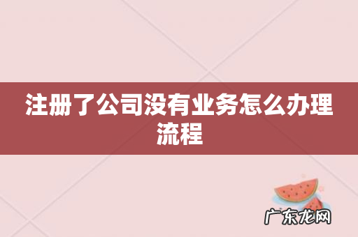 注册了公司没有业务怎么办理流程