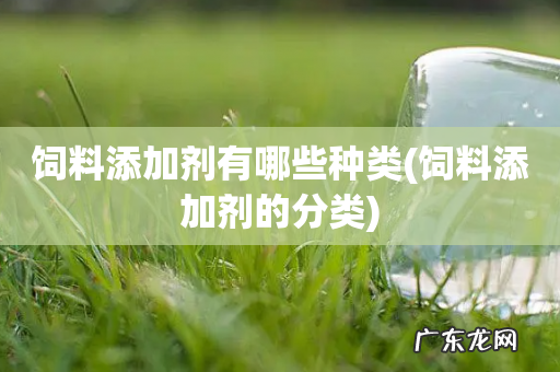 饲料添加剂的分类 饲料添加剂有哪些种类