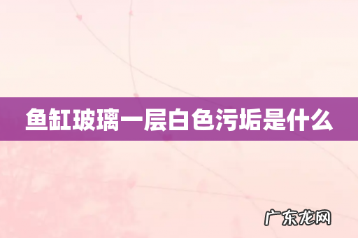 鱼缸玻璃一层白色污垢是什么