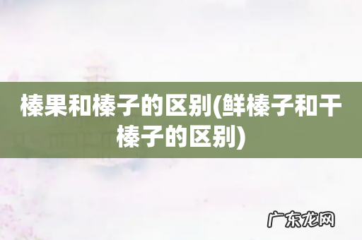 鲜榛子和干榛子的区别 榛果和榛子的区别