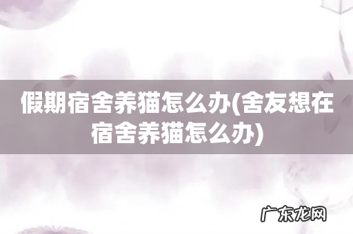 舍友想在宿舍养猫怎么办 假期宿舍养猫怎么办