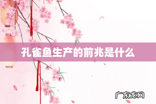 孔雀鱼生产的前兆是什么