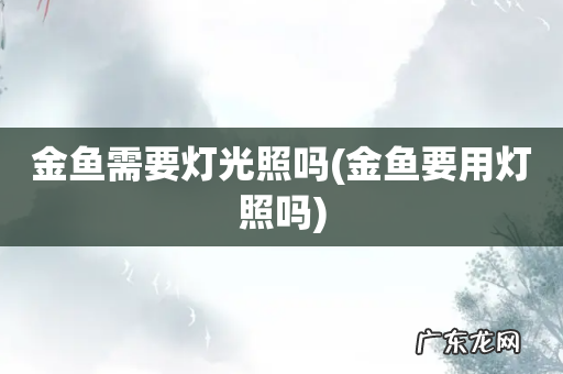金鱼要用灯照吗 金鱼需要灯光照吗