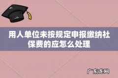 用人单位未按规定申报缴纳社保费的应怎么处理