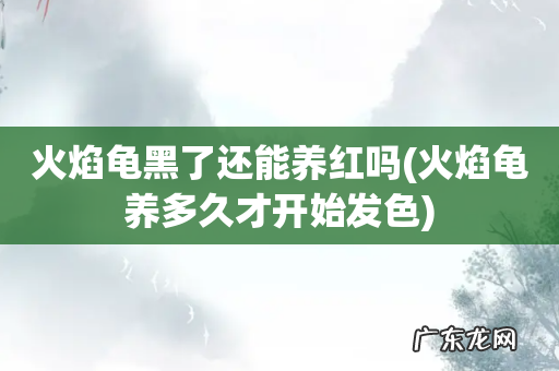 火焰龟养多久才开始发色 火焰龟黑了还能养红吗