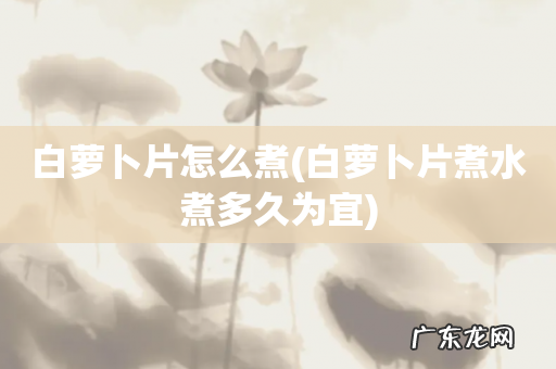 白萝卜片煮水煮多久为宜 白萝卜片怎么煮