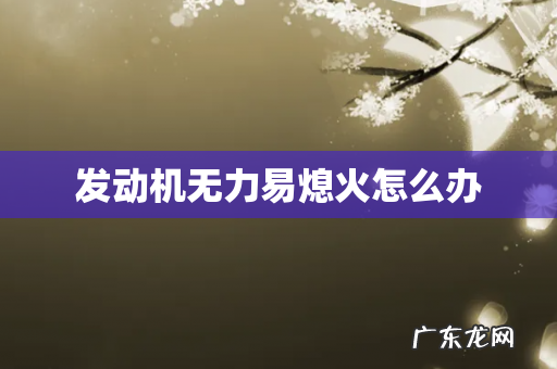 发动机无力易熄火怎么办
