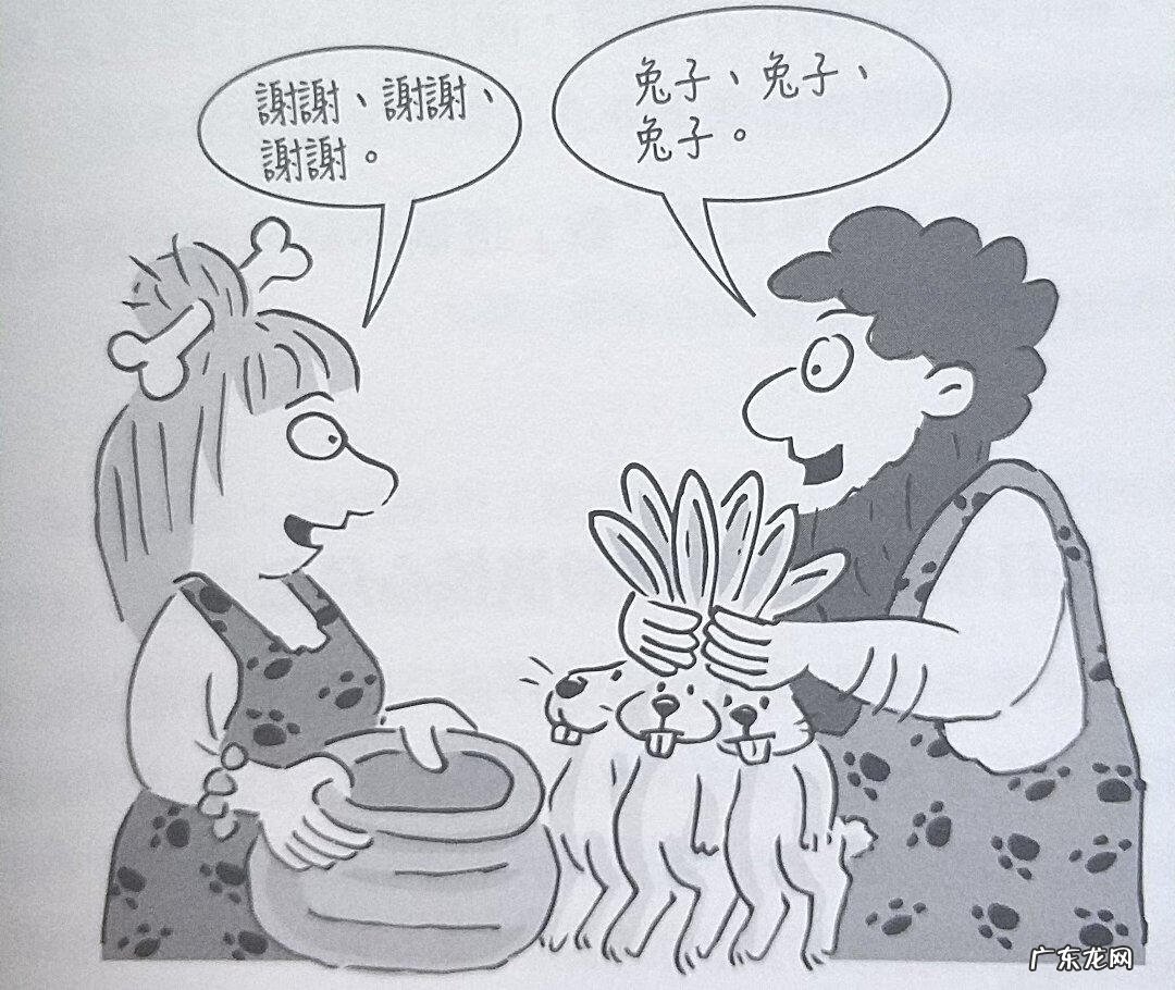 整数的概念及运用 整数的概念是什么