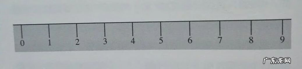 整数的概念及运用 整数的概念是什么