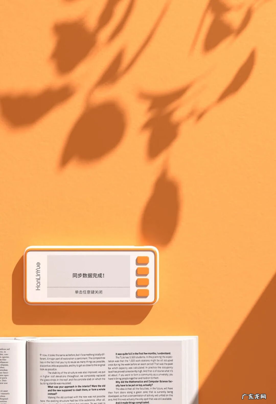 易背久 易背背单词