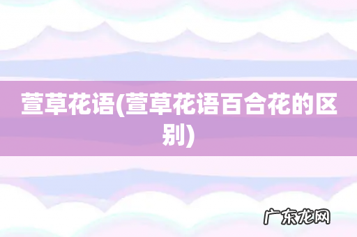 萱草花语百合花的区别 萱草花语