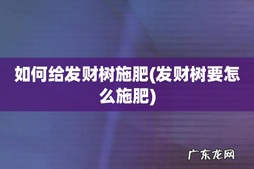 发财树要怎么施肥 如何给发财树施肥