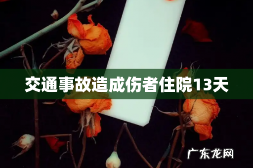 交通事故造成伤者住院13天
