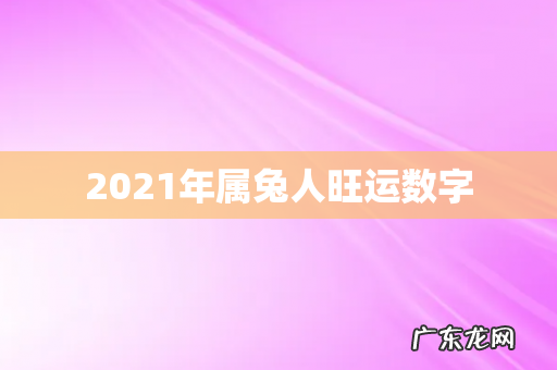 2021年属兔人旺运数字