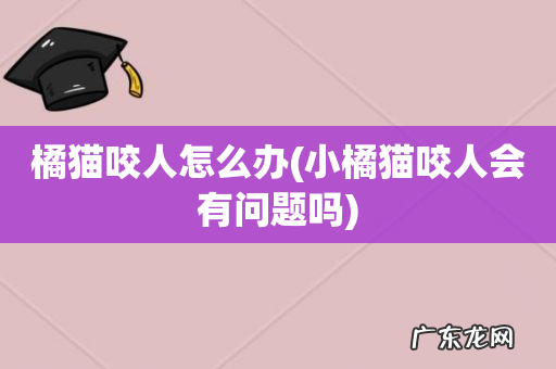 小橘猫咬人会有问题吗 橘猫咬人怎么办