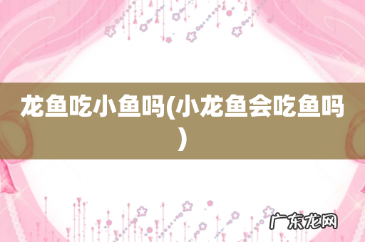 小龙鱼会吃鱼吗 龙鱼吃小鱼吗