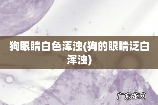 狗的眼睛泛白浑浊 狗眼睛白色浑浊
