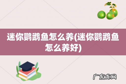 迷你鹦鹉鱼怎么养好 迷你鹦鹉鱼怎么养