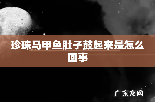 珍珠马甲鱼肚子鼓起来是怎么回事